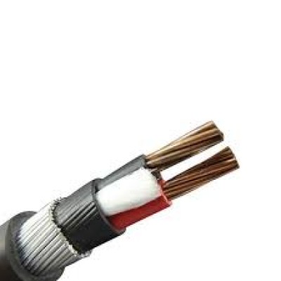 Polycab 2 Core Strip Armoured PVC Sheathed Power Cable 