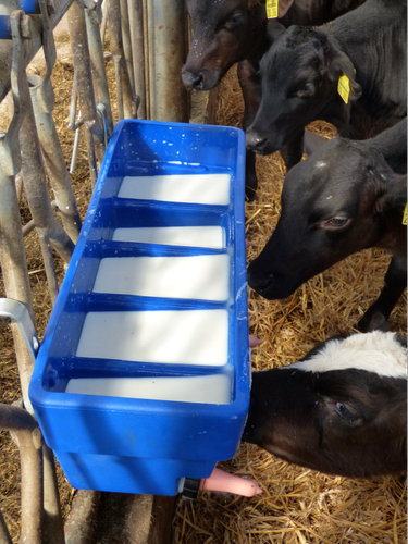 DeLaval Calf Milk Feeder - CN5