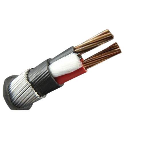 Buy Polycab 2 Core Copper Armoured Power Cable 1.1KV HSN CODE 85446090