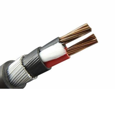 Polycab 2 Core Copper  Armoured Power Cable 1.1KV- HSN CODE 85446090